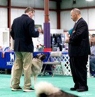 Dogshow 2024-06-30 NEINEA Candids--113308