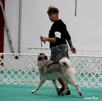 Dogshow 2024-06-30 NEINEA Candids--103607