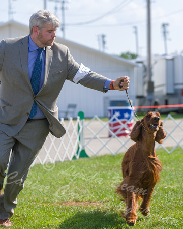 Dogshow 2018-07-30 Burlington WI (Mon)--162306
