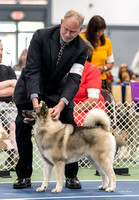 Dogshow 2022-07-03 NEINEA Candids Day 2--104210
