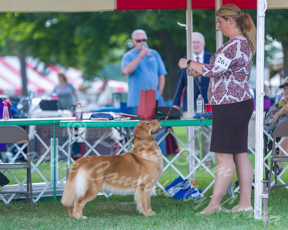 Dogshow 2018-07-30 Burlington WI (Mon)--162606