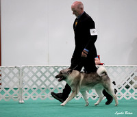 Dogshow 2024-06-29 NEINEA Candids--123959-3