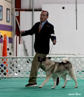 Dogshow 2024-06-30 NEINEA Candids--113318-2