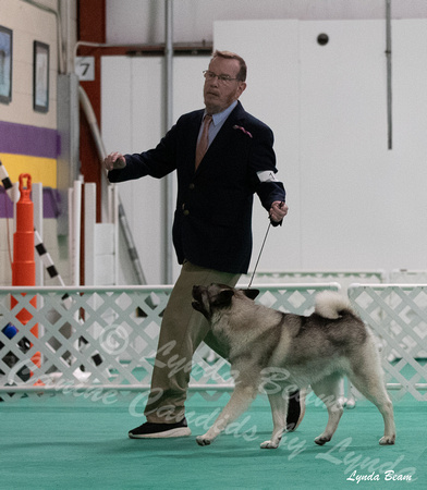 Dogshow 2024-06-30 NEINEA Candids--113318-2