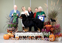 #77 GCH Lionheart's Five O'clock Somewhere  - Day 2 Award of Merit