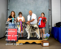 Photo Shoot 2021-07-03 Elkhound Spec Shows 1 & 2 --152258-2