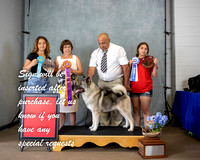 Photo Shoot 2021-07-03 Elkhound Spec Shows 1 & 2 --152334
