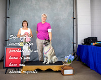Photo Shoot 2021-07-03 Elkhound Spec Shows 1 & 2 --151714