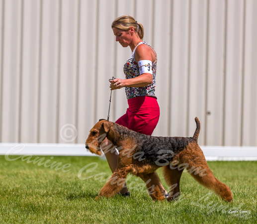 Dogshow 2022-06-19 Northeastern Illinois Kennel Club--133635-2