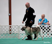 Dogshow 2024-06-29 NEINEA Candids--123959-2