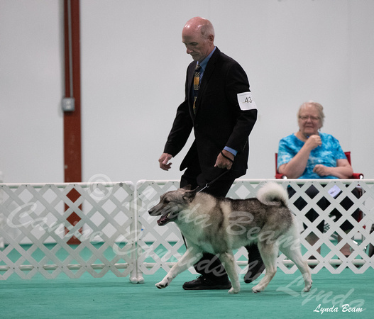 Dogshow 2024-06-29 NEINEA Candids--123959-2