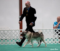 Dogshow 2024-06-29 NEINEA Candids--123959-5