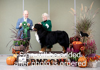 Dogshow 2024-10-26 BMDCNI Day 2--164803