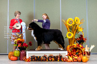 Dogshow 2023-10-28 BMDCNI Win Photos - Sat--144850