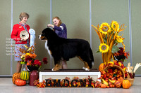 Dogshow 2023-10-28 BMDCNI Win Photos - Sat--145423