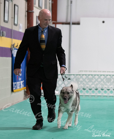 Dogshow 2024-06-29 NEINEA Candids--123836