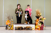 Dogshow 2023-10-29 BMDCNI Win Photos - Sun--121000-2