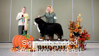 #61 - GCH Hausful's One For the Road CD - Day 1 - Best in Veteran Sweepstakes