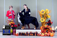 Dogshow 2023-10-28 BMDCNI Win Photos Day 1 --105003-4