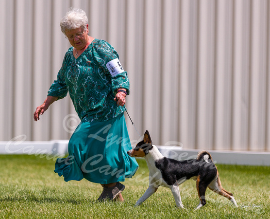 Dogshow 2022-06-19 Northeastern Illinois Kennel Club--124550-3
