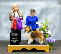 Dogshow 2022-04-09 ISSC Win Photos --130033