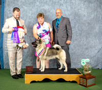 Dogshow 2022-07-02 NEINEA Win Photos --135843