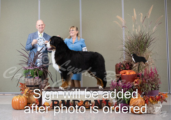 Dogshow 2024-10-26 BMDCNI Day 2--165539