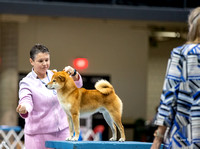 Dogshow 2023-10-20 Rapid City SD Day 1--134856