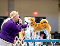 Dogshow 2023-10-20 Rapid City SD Day 1--135355
