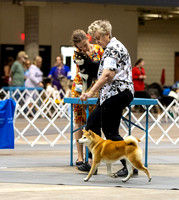 Dogshow 2023-10-20 Rapid City SD Day 1--122822-2