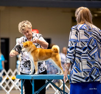 Dogshow 2023-10-20 Rapid City SD Day 1--122654-2