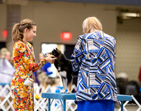 Dogshow 2023-10-20 Rapid City SD Day 1--122923