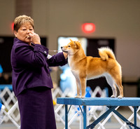 Dogshow 2023-10-20 Rapid City SD Day 1--123450