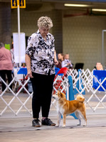 Dogshow 2023-10-20 Rapid City SD Day 1--123521