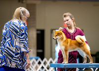 Dogshow 2023-10-20 Rapid City SD Day 1--121236