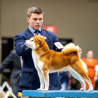 Dogshow 2023-10-20 Rapid City SD Day 1--133123