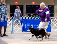 Dogshow 2023-10-20 Rapid City SD Day 1--133136