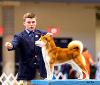 Dogshow 2023-10-20 Rapid City SD Day 1--133152-2