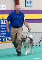 Dogshow 2024-06-30 NEINEA Candids--104016