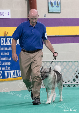 Dogshow 2024-06-30 NEINEA Candids--104016