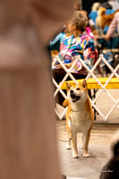 Dogshow 2023-10-21 NSCA and Rapid City--131117-2