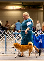 Dogshow 2023-10-21 NSCA and Rapid City--131327-3