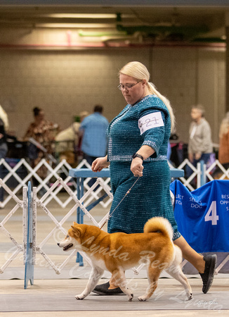 Dogshow 2023-10-21 NSCA and Rapid City--131327-3