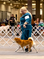 Dogshow 2023-10-21 NSCA and Rapid City--131329-2