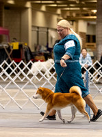 Dogshow 2023-10-21 NSCA and Rapid City--131329-5