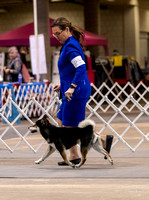 Dogshow 2023-10-21 NSCA and Rapid City--131510-5