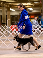 Dogshow 2023-10-21 NSCA and Rapid City--131509-2