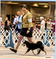 Dogshow 2023-10-21 NSCA and Rapid City--132232-2