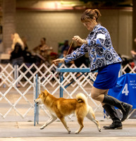 Dogshow 2023-10-21 NSCA and Rapid City--132327