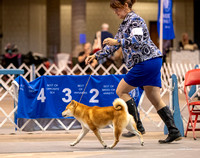 Dogshow 2023-10-21 NSCA and Rapid City--132343